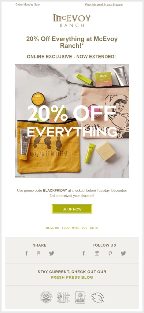ecommerce-Promotional-Holiday-Email-Blasts